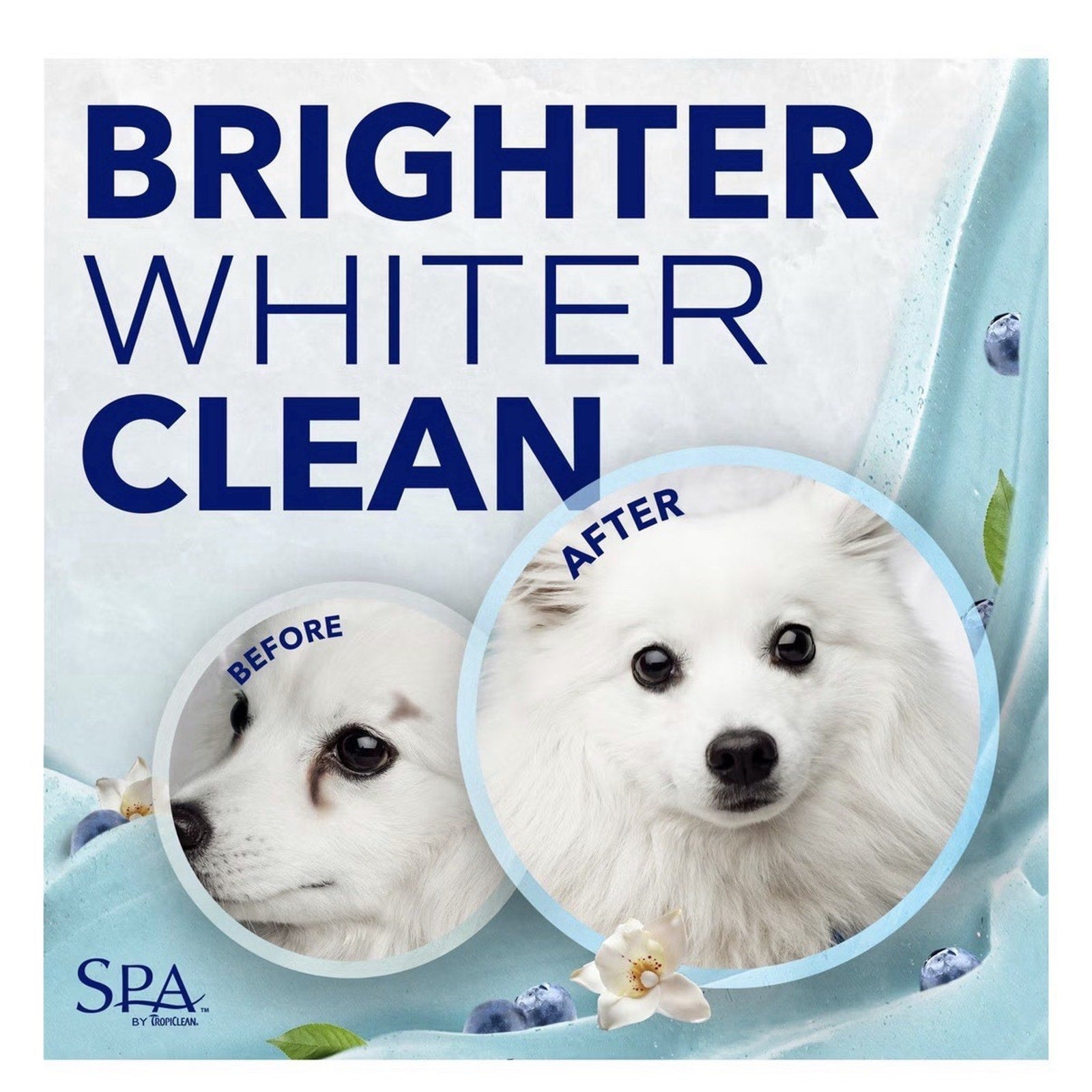 Pet Facial Scrub Gentle Dog Cat Tear Strain Remover Oatmeal Blueberry Formula