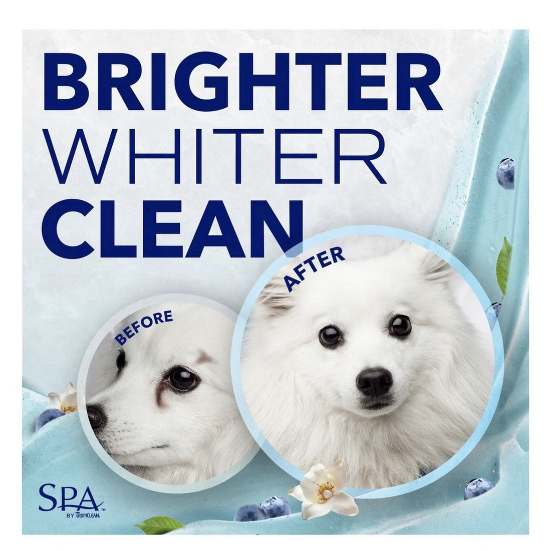 Pet Facial Scrub Gentle Dog Cat Tear Strain Remover Oatmeal Blueberry Formula