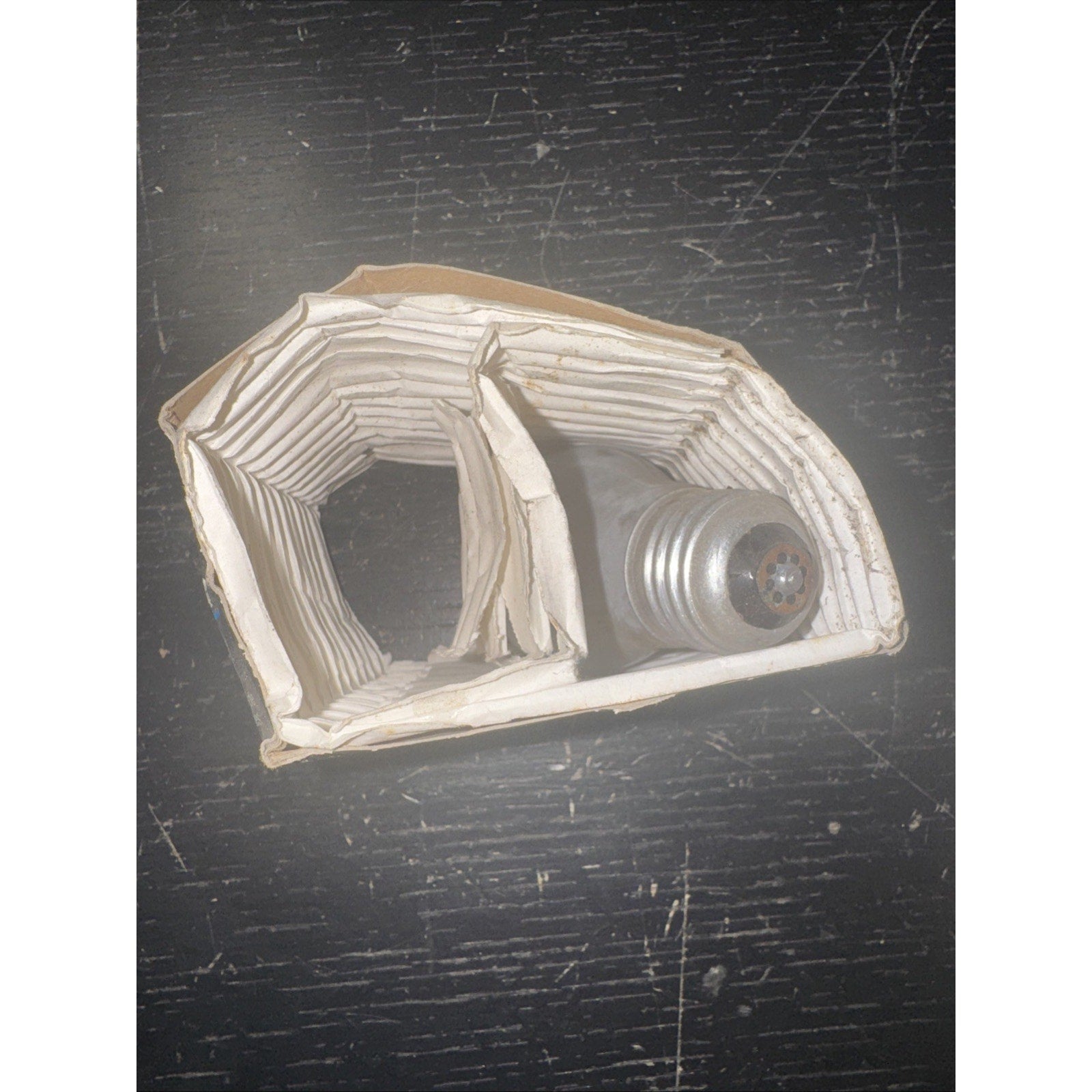 Philips Long Duration 15W Light Bulb
