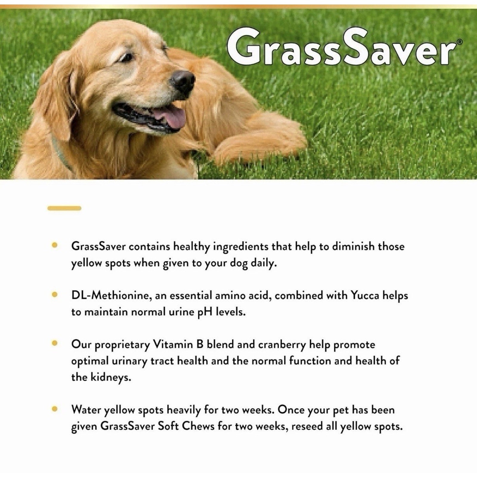 Case of 12 NaturVet GrassSaver Supplement for Dogs for Yellow Spots 120 Chews