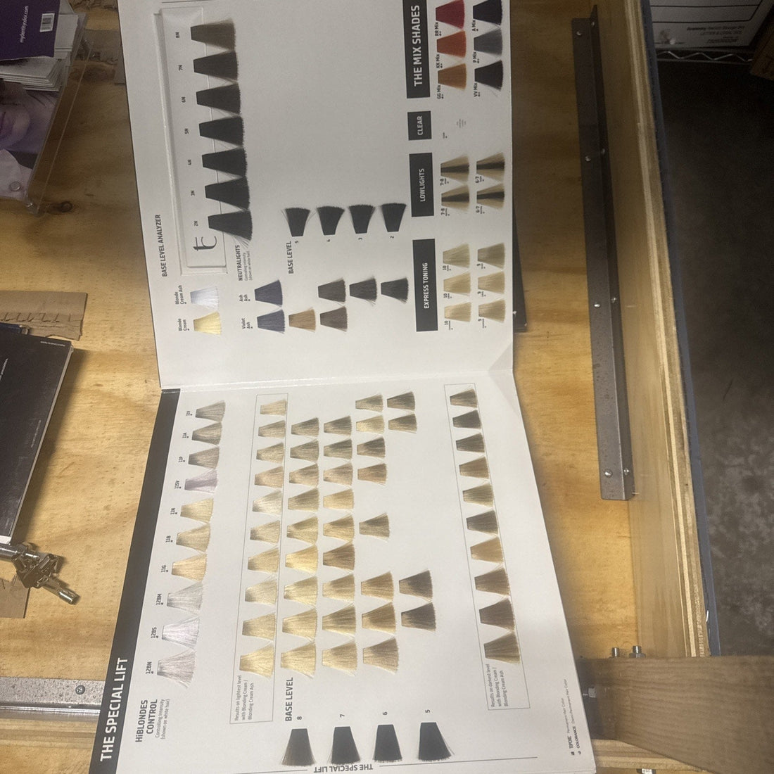 Goldwell Topchic & Colorance Hair Color Swatch Book, Salon Shade Guide