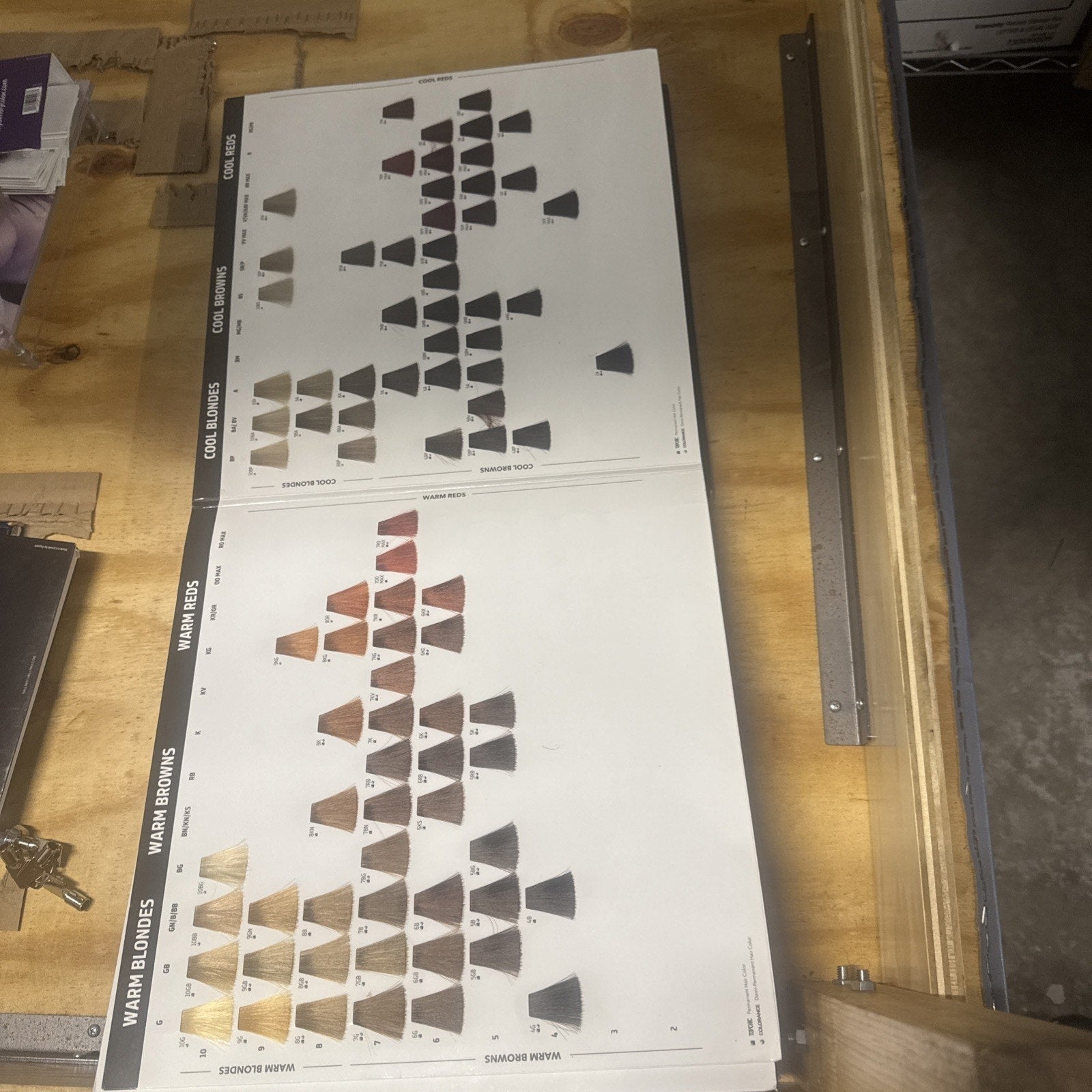 Goldwell Topchic & Colorance Hair Color Swatch Book, Salon Shade Guide