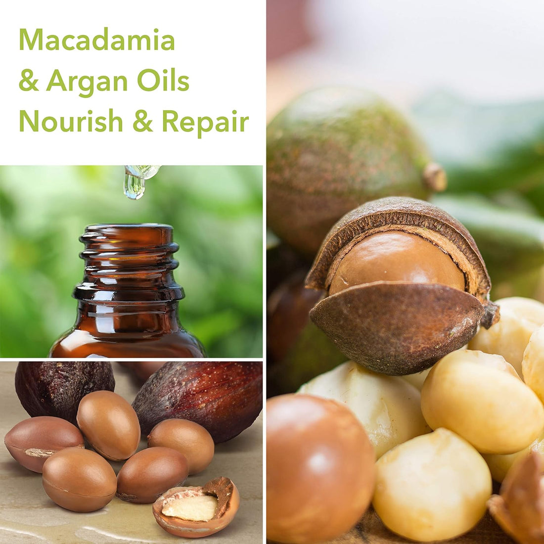 Macadamia Professional Hair Care Sulfate & Paraben Free Natural Organic Cruelty-Free Vegan Hair Products Ultra Rich Hair Repair Shampoo, 10oz